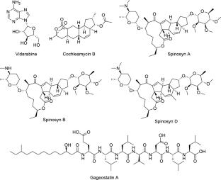 Activation of cryptic biosynthetic pathways in Saccharopolyspora spinosa through deletion of the spinosyn gene cluster: induction of cryptic and bioactive natural products