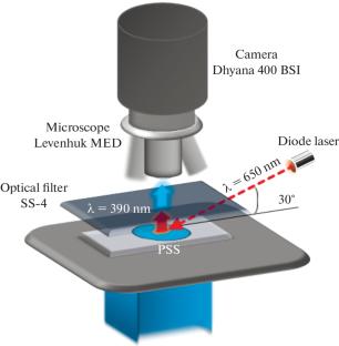 On the Possibility of Improving the Spatial Resolution of Photoluminescent Plates in Registration of Images in X-Rays