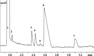 Determination of Major Anions in Human Serum by Capillary Zone Electrophoresis