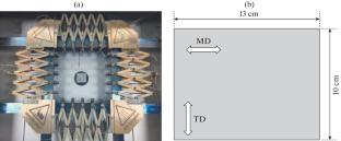 Investigation on Morphological and Structural Evolution during Stretching Process of Polyethylene Terephthalate Glycol Films with Different Molecular Structures