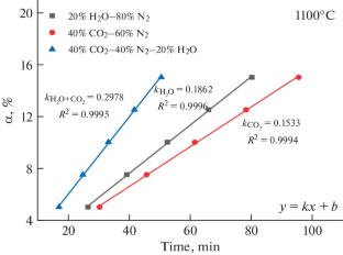 Competitive Models and Mechanisms of Gasification Reactions on Hydrogen-Rich Smelting Process of Blast Furnace