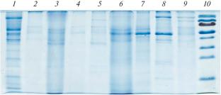 Purification of Alpha-Amylase Produced by Aspergillus niger CNMN FD 06 under Submerged Cultivation in the Presence of TiO2 Nanoparticles and the Coordination Compound of Sr(II) with Polydentate Ligand