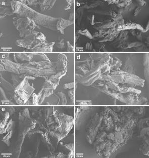 The impact of surface acid species strength on the cellulose structural changes via hydrolysis over solid acid catalyst