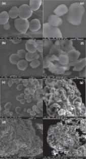 Short-Time Ball Milling Improving Hydrolysis of Corn Starch: A Sustainable and Chemical-Free Pretreatment Approach