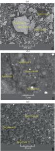 Characterization of Titanium Carbide Prepared from Titanium-Containing Concentrate in a Microwave-Assisted Combined Plasma System