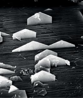 Hydrotalcite-Group Minerals: Crystal Chemistry and a New Look at “Old” Minerals
