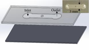 Investigating the binding strength between subtypes red blood cells and their corresponding antibodies and rapidly differentiating subtypes in a microchannel