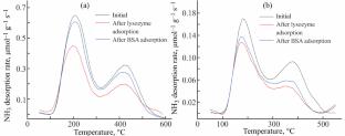 Effects of MFI Zeolite Acidity on Protein Adsorption