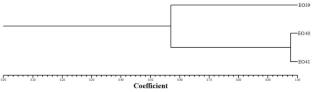 Chemometric comparison based on volatile compound composition and plant family of some commercial essential oils used in Morocco and Spain