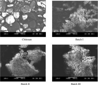 Acoustic Cavitation Assisted Preparation and Characterization of Polyhydroxy Butyrate-Chitosan Composite