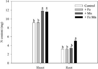 Manganese mitigates the effects of excess iron on Zeyheria tuberculosa (Vell.) Bureau ex Verl. plants