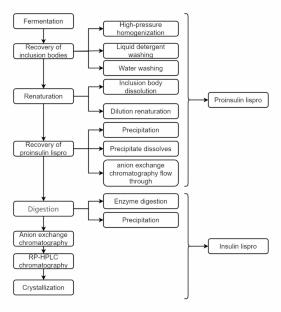 High-Yield Biosynthesis Process for Producing Insulin Lispro
