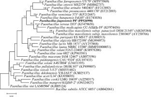 Description of Paenibacillus jiagnxiensis sp. nov., a mesotrione-degrading bacterium isolated from farmland and cloning of a novel mesotrione nitroreductase gene