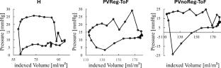 Image-based computational hemodynamics in the right heart