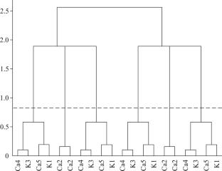 Search of Dense Plain Nets in Crystal Structures by Cluster Analysis