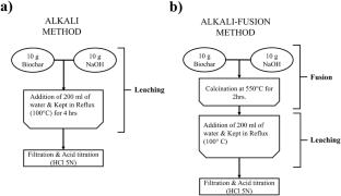 Synergistic approach of biochar valorisation for silica nanoparticles in photocatalysis and residual ash as efficient heterogeneous catalysis