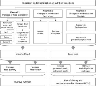 Trade liberalization and nutrition transition: how export influences households’ macronutrient consumption in Vietnam