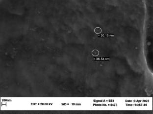 Regression-driven modeling and optimization of ultrasonic-assisted activated flux tungsten inert gas welding on AISI 316L