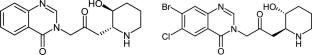 Traditional medicine meets modern science: Halofuginone’s role in combating autoimmune diseases