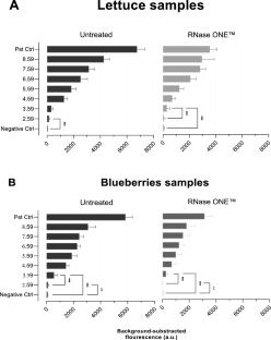 Detection of Murine Norovirus on Fresh Produce Through a CRISPR/Cas13a RNase-Based Capsid Integrity Assay