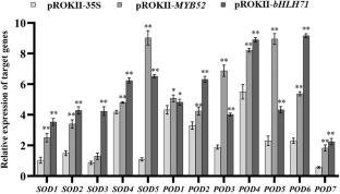 Regulatory mechanisms of exogenous GA3 application and identification of key genes related to salt tolerance in Populus davidiana × P. bolleana