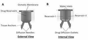 An Osmosis-driven 3D-printed brain implant for drug delivery