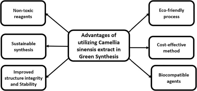Green hydrothermal synthesis of Mg-doped transition metal dichalcogenides using Camellia sinensis extract for enhanced energy storage