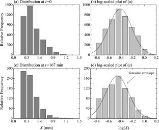 Size distribution of decaying foam bubbles