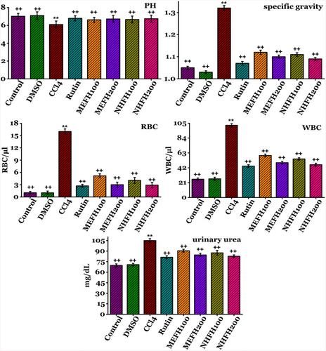 Nephroprotective Effects of Fraxinus Hookeri Wenz. Against Renal Toxicity and DNA Oxidative Damages Induced by CCl4 in Rats