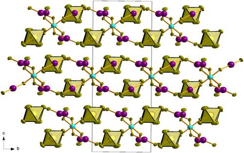 Coordination Chemistry of Copper and Nickel with Xenon Difluoride and the Hexafluororuthenate(V) Anion: Synthesis and Structural Studies