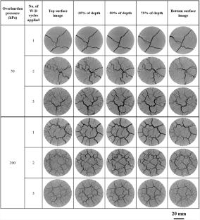 X-ray CT-based 3D characterization of desiccation cracking in compacted expansive soil under varying vertical stress states