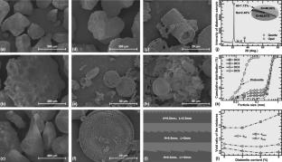 Strength and dilatancy for interface between sand-diatomite mixtures and biomimetic plates