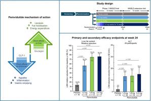 Safety and efficacy of 24 weeks of pemvidutide in metabolic dysfunction-associated steatotic liver disease: A randomized, controlled clinical trial
