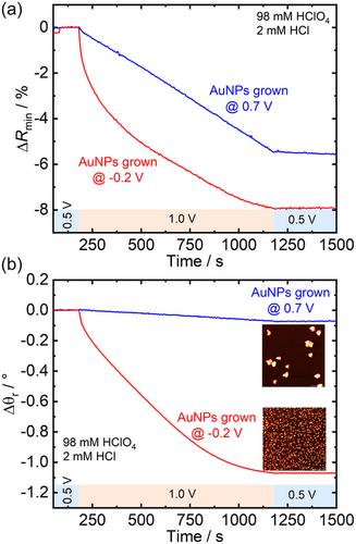 Graphene-Based in situ Electrochemical Plasmon Waveguide Resonance Sensor Incorporating a Polymer Layer