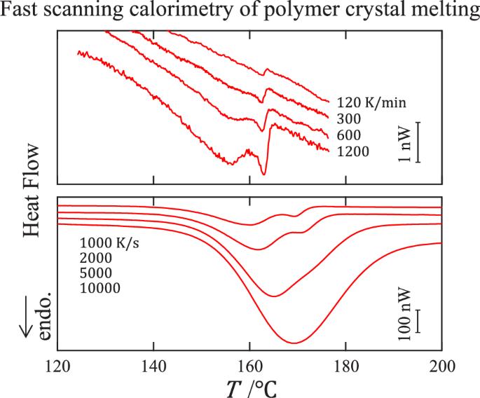 Melting kinetics of polymer crystals