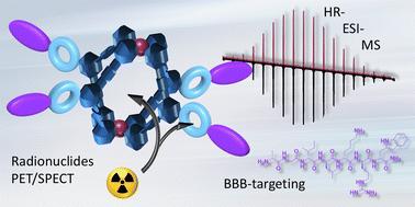 Design of porous self-assembled homoleptic and heteroleptic Pd2+ cages incorporating silicon-based fluoride acceptors: the way towards nuclear imaging applications†