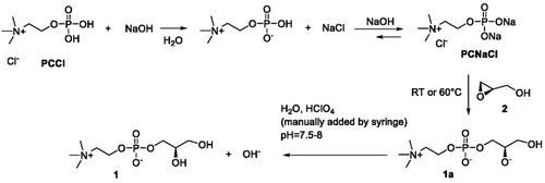 A Scalable L-α-Glycerophosphorylcholine Synthesis through the Automatic pH-Controlled (R)-Glycidol Ring Opening with Phosphorylcholine