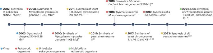 Genome synthesis in plants