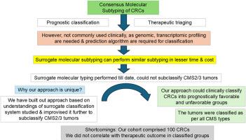 Evaluation of a novel surrogate panel for classifying human colorectal carcinomas according to consensus molecular subtypes