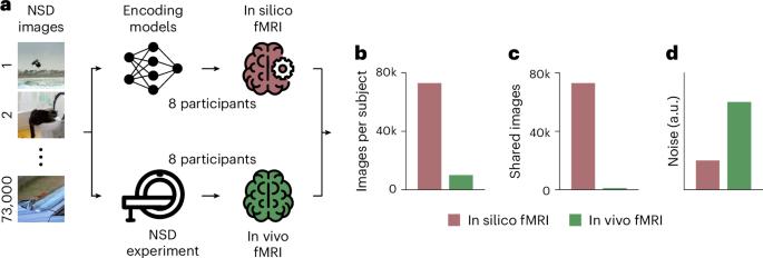 In silico discovery of representational relationships across visual cortex