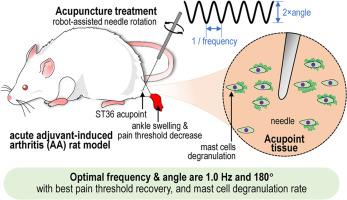 Influence of acupuncture twisting parameters on analgesic effects mediated by mast cells in AA rat models
