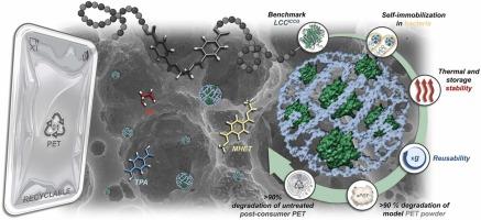 Nearly complete depolymerization of untreated post-consumer plastic with an immobilized and reusable PET hydrolase