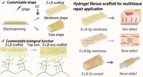 Customizable Silk Fibroin-Based Hydrogel Fibrous Scaffold for On-Demand Multifaceted Tissue Repair