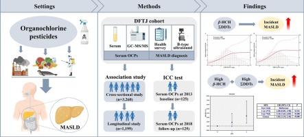 Association between organochlorine pesticides and metabolic dysfunction-associated steatotic liver disease: Findings from the Dongfeng-Tongji cohort