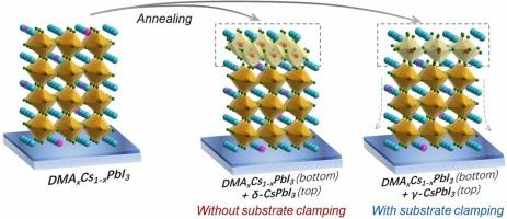 Manipulating phase distribution and transformation kinetics by substrate clamping for DMAxCs1-xPbI3 perovskite solar cells