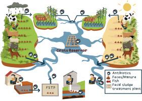 Modelling antibiotics in a densely populated reservoir catchment: insights from Cirata Reservoir, Indonesia