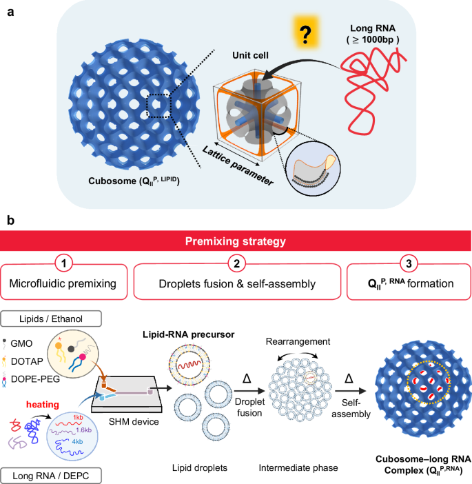 Premixing enables loading of long RNA in cubic phase lipid nanoparticles