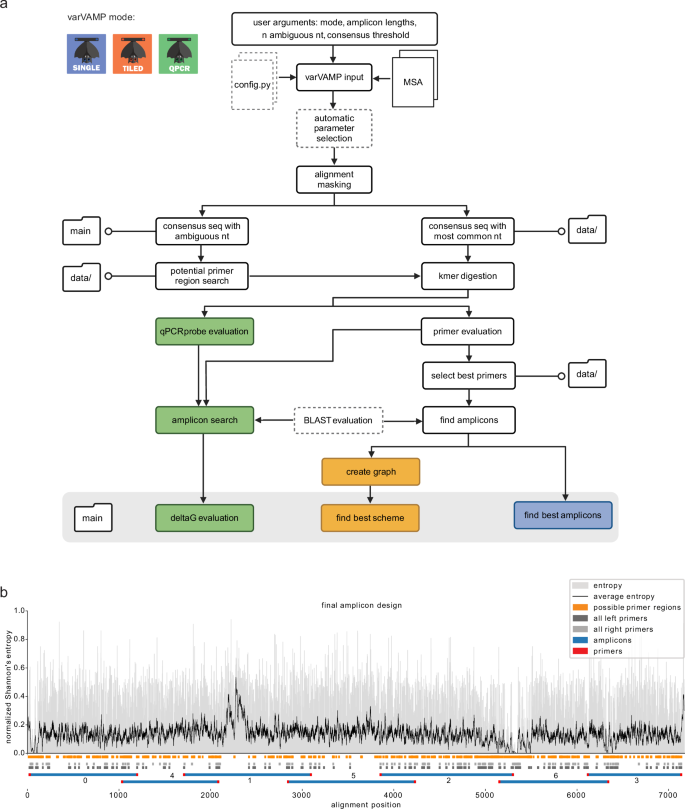 varVAMP: degenerate primer design for tiled full genome sequencing and qPCR