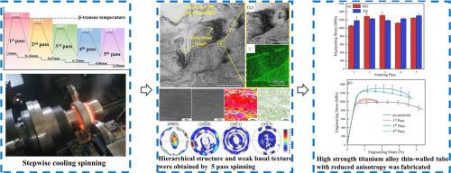 Stepwise cooling spinning to achieve isotropic strength-ductility synergy of titanium alloy tube