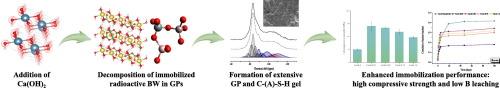 Effect of Ca(OH)2 on the immobilization of simulated radioactive borate waste in metakaolin-based geopolymer waste forms